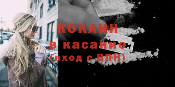 твердый Заводоуковск
