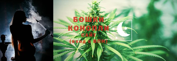 твердый Заводоуковск