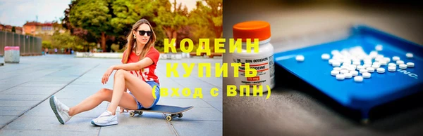 твердый Заводоуковск