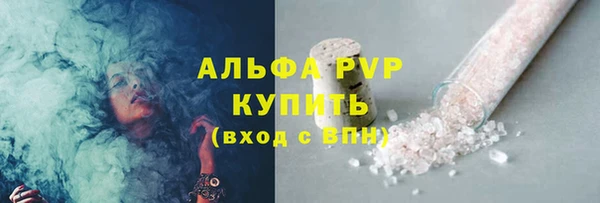 твердый Заводоуковск