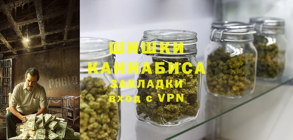 твердый Заводоуковск