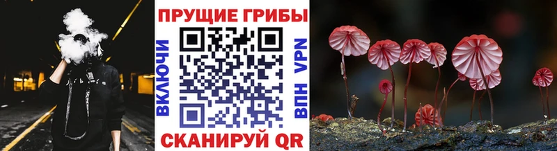 Купить закладки  Нарткала  Галлюциногенные грибы прущие грибы 